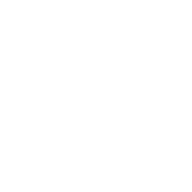 ScHiFFmEiSteR